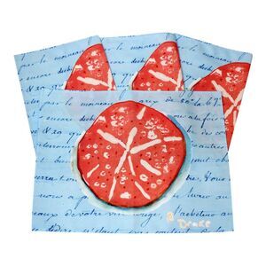 Coral Sand Dollar 14 Inch Kitchen Dining Room Placemats Set of 4 Betsy Drake